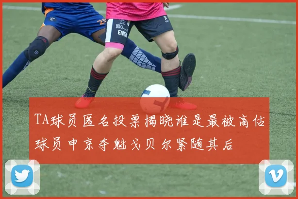 TA球员匿名投票揭晓谁是最被高估球员申京夺魁戈贝尔紧随其后