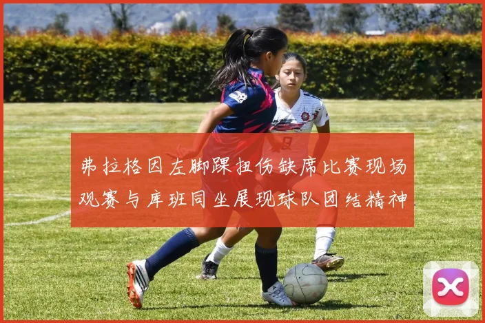 弗拉格因左脚踝扭伤缺席比赛现场观赛与库班同坐展现球队团结精神